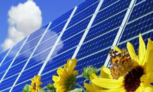 Assurance Photovoltaique - Cap Ouest Assurances